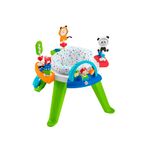 centro-de-actividades-fisher-price-fwy39