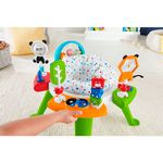 centro-de-actividades-fisher-price-fwy39