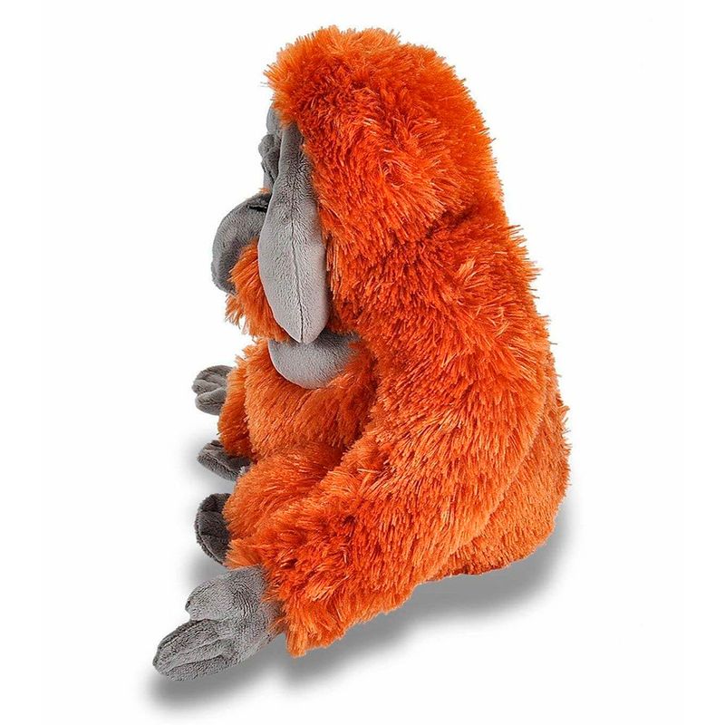 peluche-cuddlekins-orangutan-25-cms-kym-international-12250WR