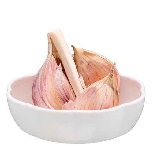 Recipiente Ajo Joie 33040