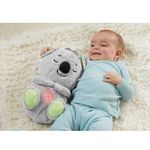 FISHER_PRICE_GRT59_887961911305_02
