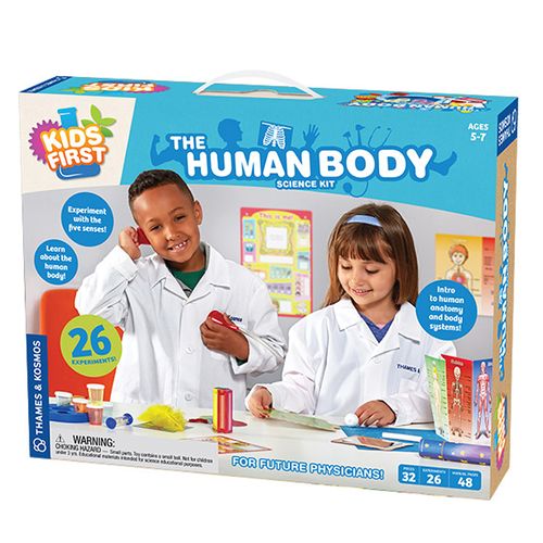 Set El Cuerpo Humano