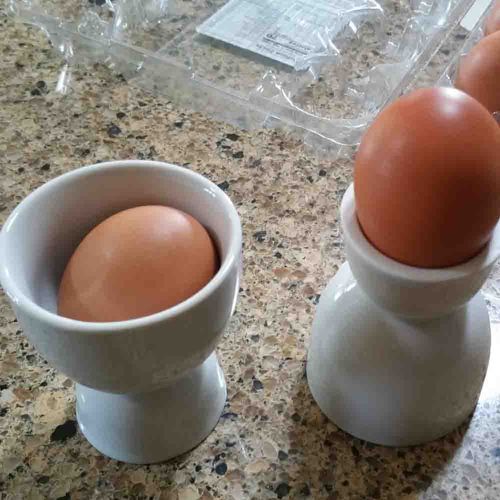 Porta Huevo Doble Porcelana Harold Imports 400220