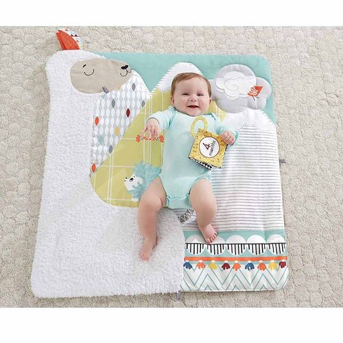 Gimnasio De Bebé Sense Deluxe  Fisher Price Glk34