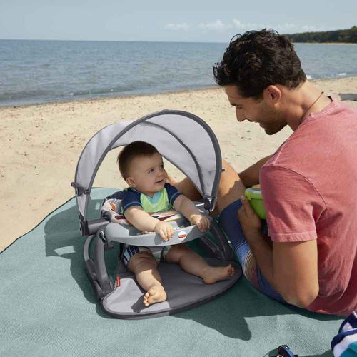 Silla Para Bebé On The Go Fisher Price Gnr02
