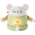 FISHER-PRICE_GRV08_887961911657_01