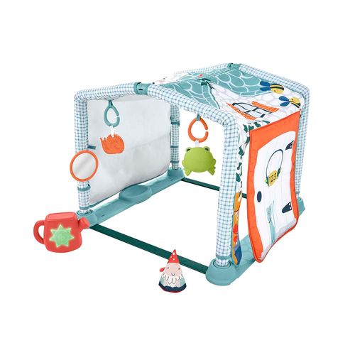 Gimnasio 3 En 1  Fisher Price Hgb82