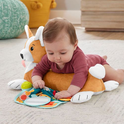 Cojín para Bebé Perro Fisher Price HJW10