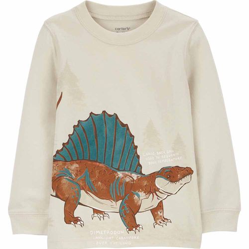 Suéter Dinosaurio Niño