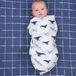 GERBER_469142B01OSZ_013618469145_02