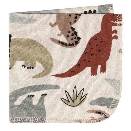Set 4 Toallitas Bebé - Dinosaurios